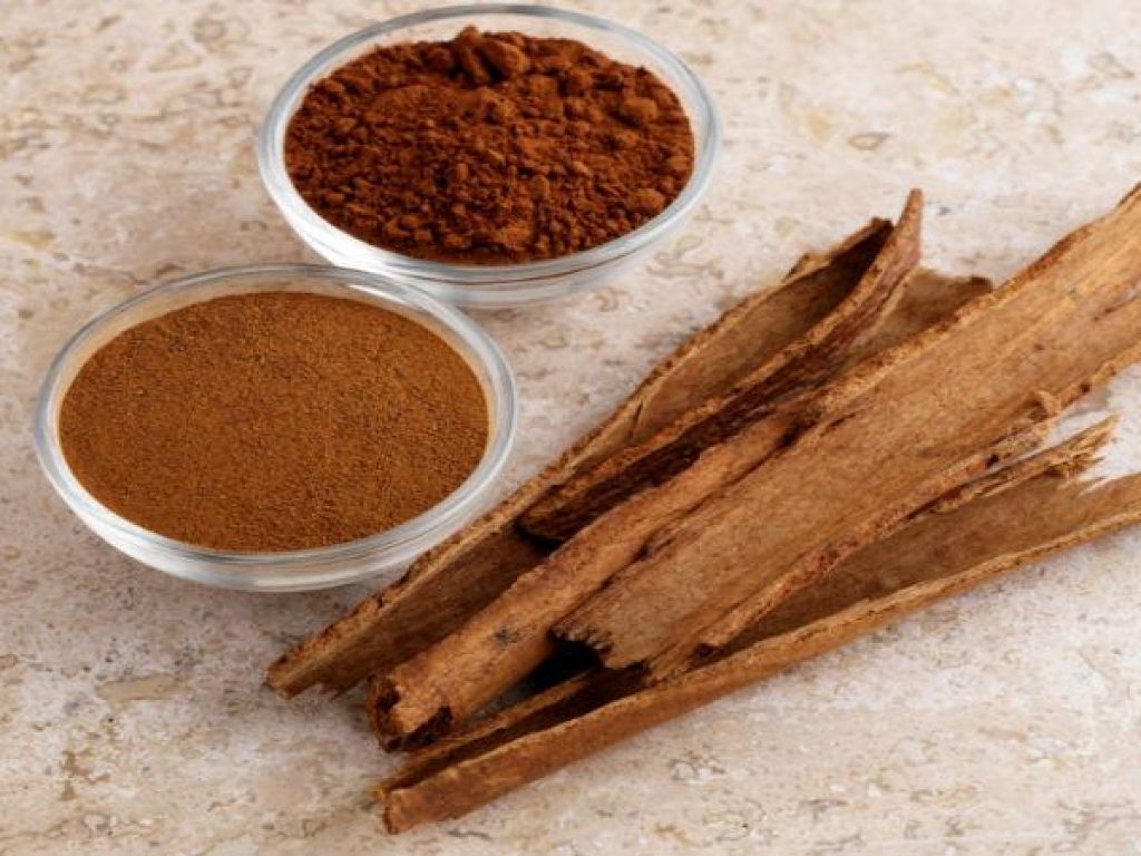 What Is The Significance Of Cinnamon In Ayurveda?