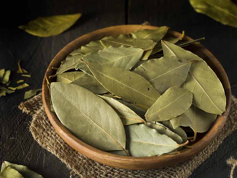 Benefits Of Bay Leaves That You Probably Did Not Know