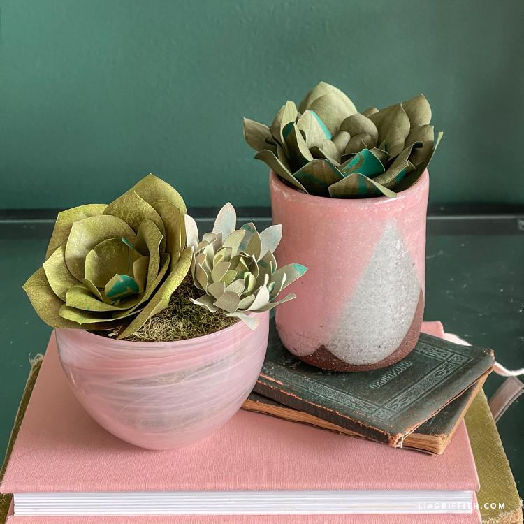 Lia Griffith | Cost-free Reside Workshop: Upcycled Paper Bag Succulents