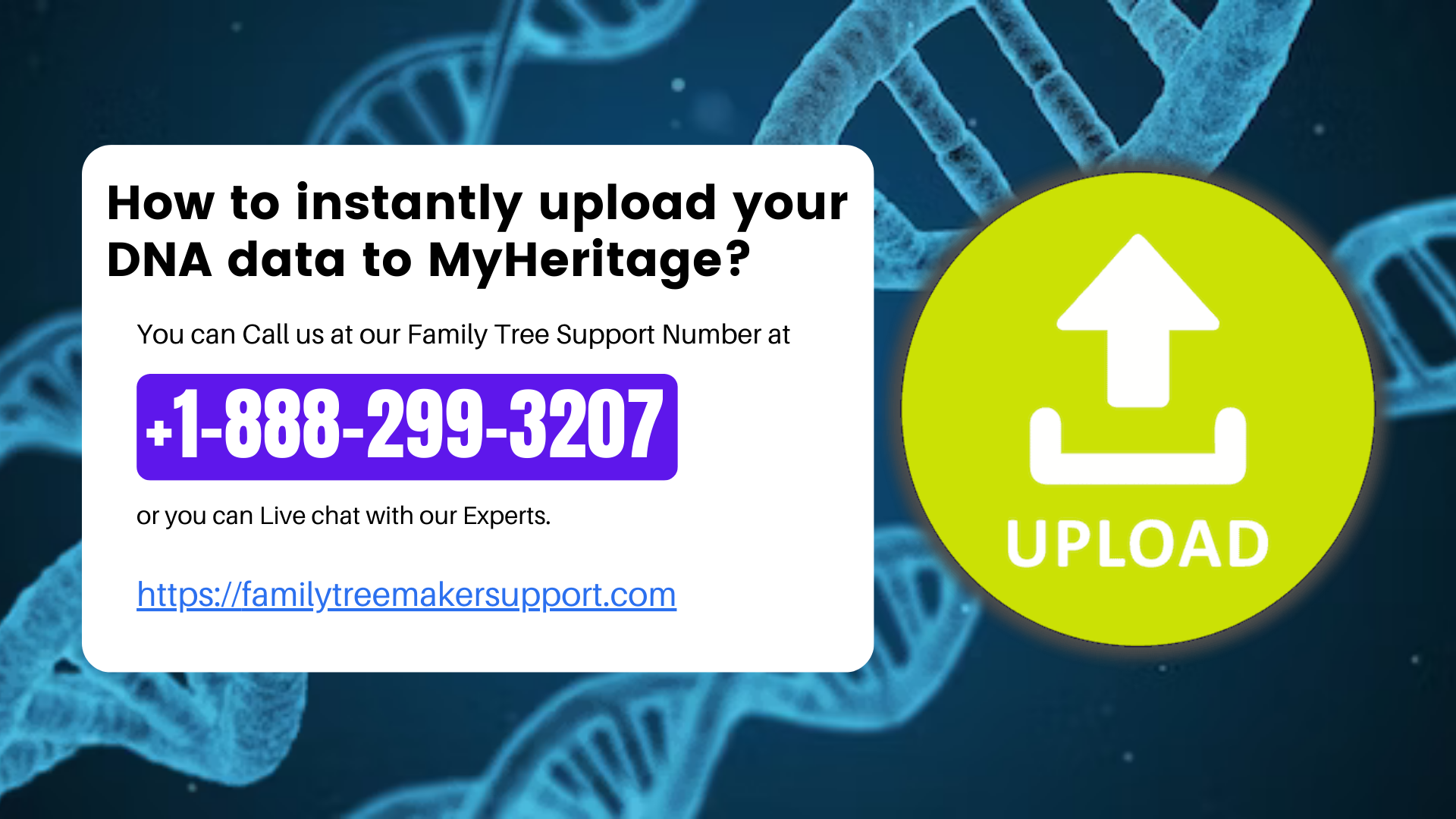 How to instantly upload your DNA data to MyHeritage?