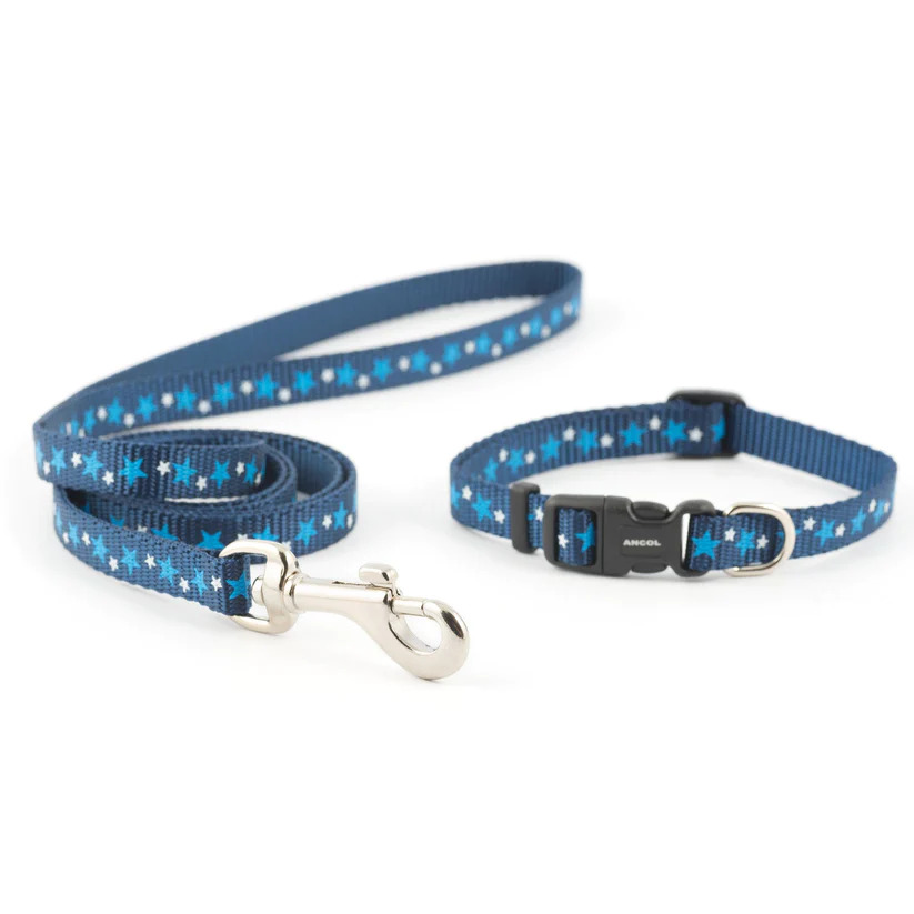 The Ultimate Guide To Safe And Stress-Free Leash Training With A Dog Harness