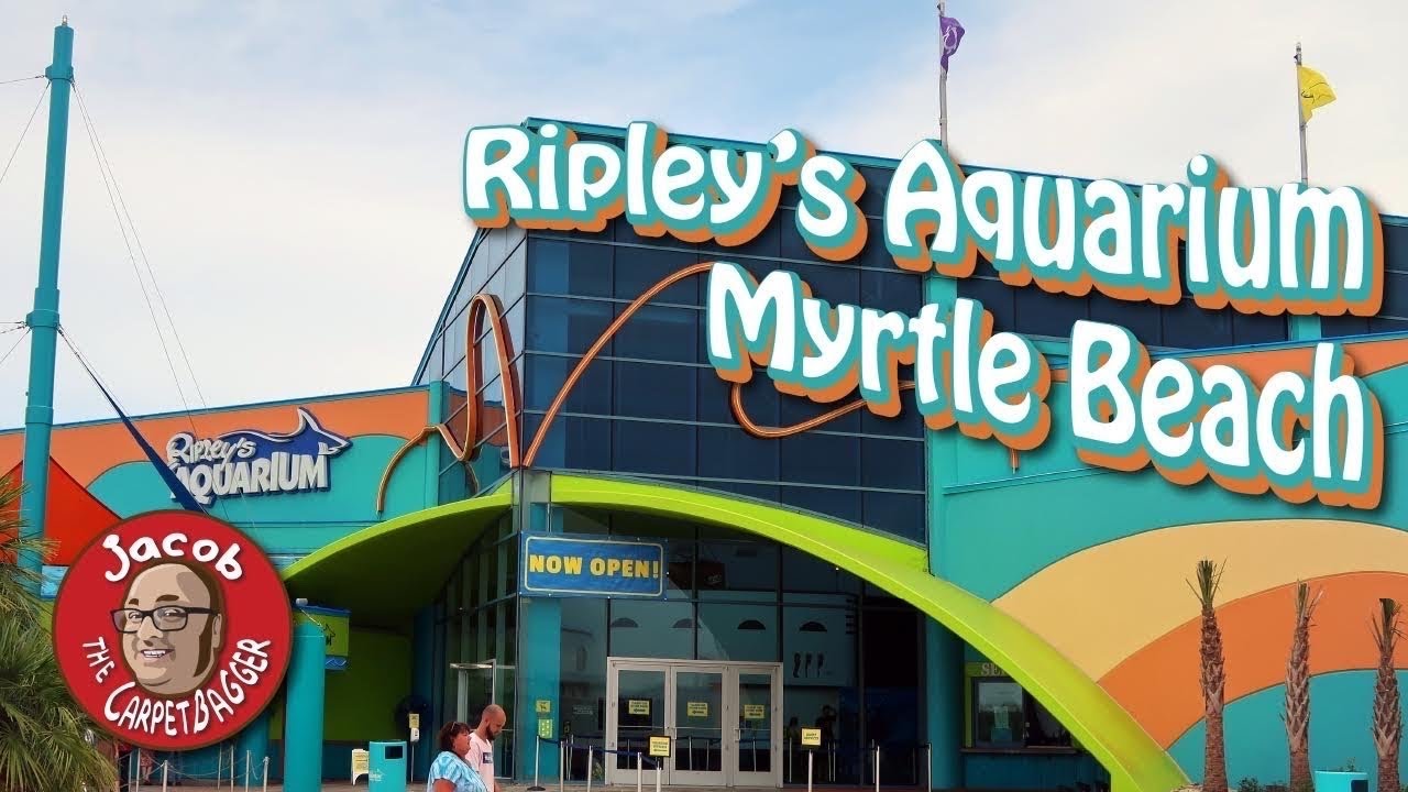 Discover Ripley’s Aquarium Toronto: Ticket Info And More