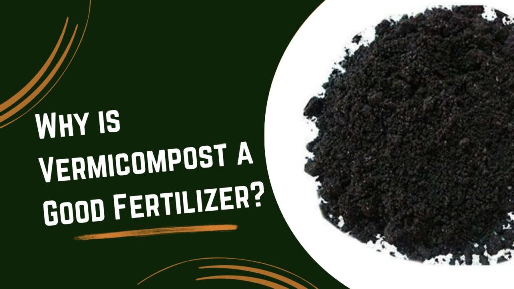 Why is Vermicompost a Good Fertilizer?