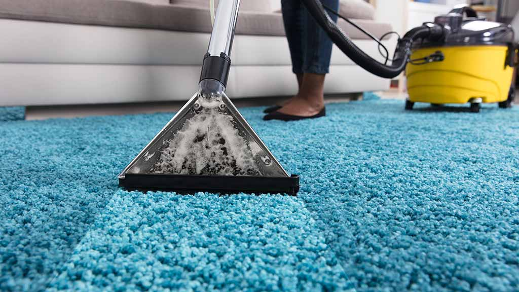Professional and Affordable Loveland Carpet Cleaning Solutions