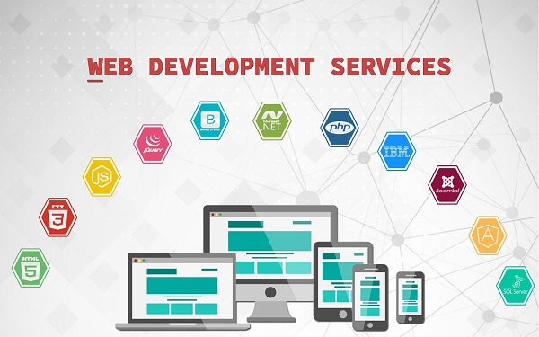 Why Choose a Web Development Company in India?