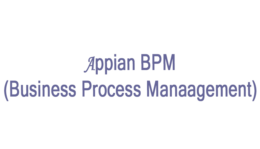 Appian BPM Online Training Viswa Online Trainings In Hyderabad