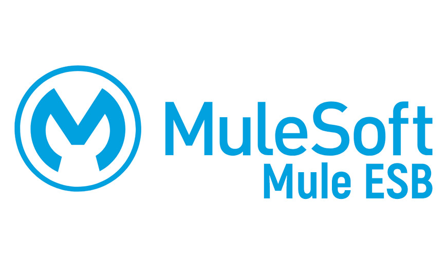 MuleSoft Online Training Viswa Online Trainings India