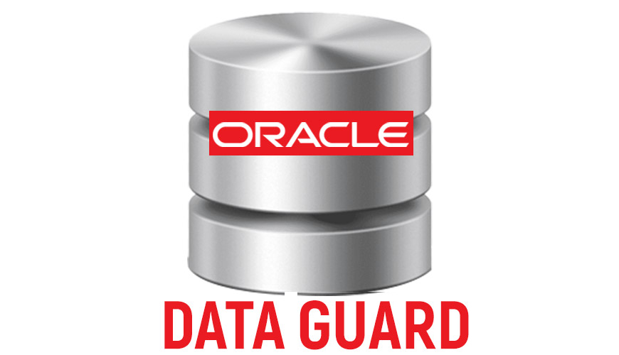 Oracle DataGuard Online Training Viswa Online Course In Hyderabad