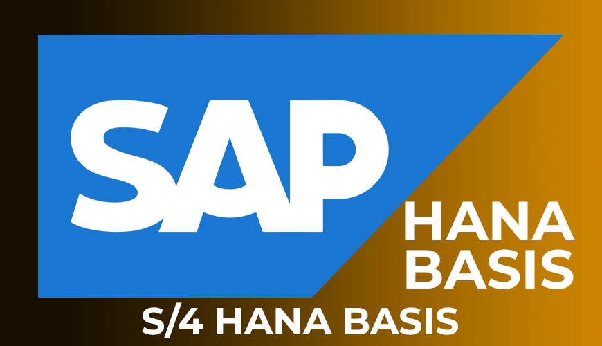 SAP S4 Hana Basis Online Training Course From Hyderabad